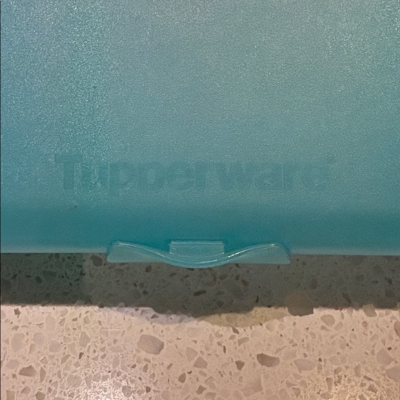 Tupperware Lunch N Things Divided Container - Picture 3 of 6